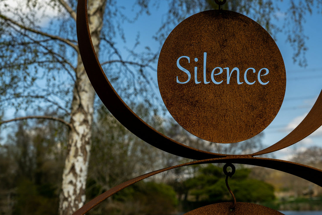 Perché il Silenzio fa Paura (e perché ne abbiamo un disperato bisogno)